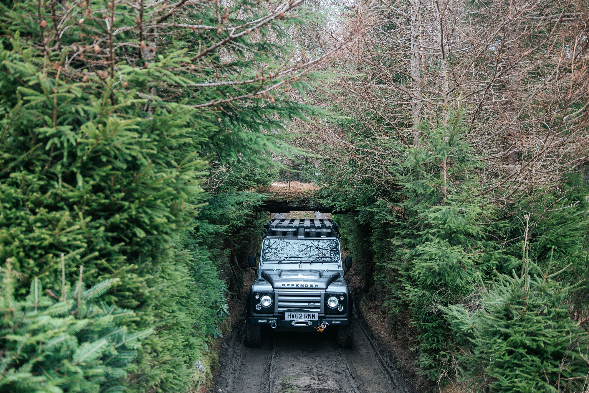 Drives Experience