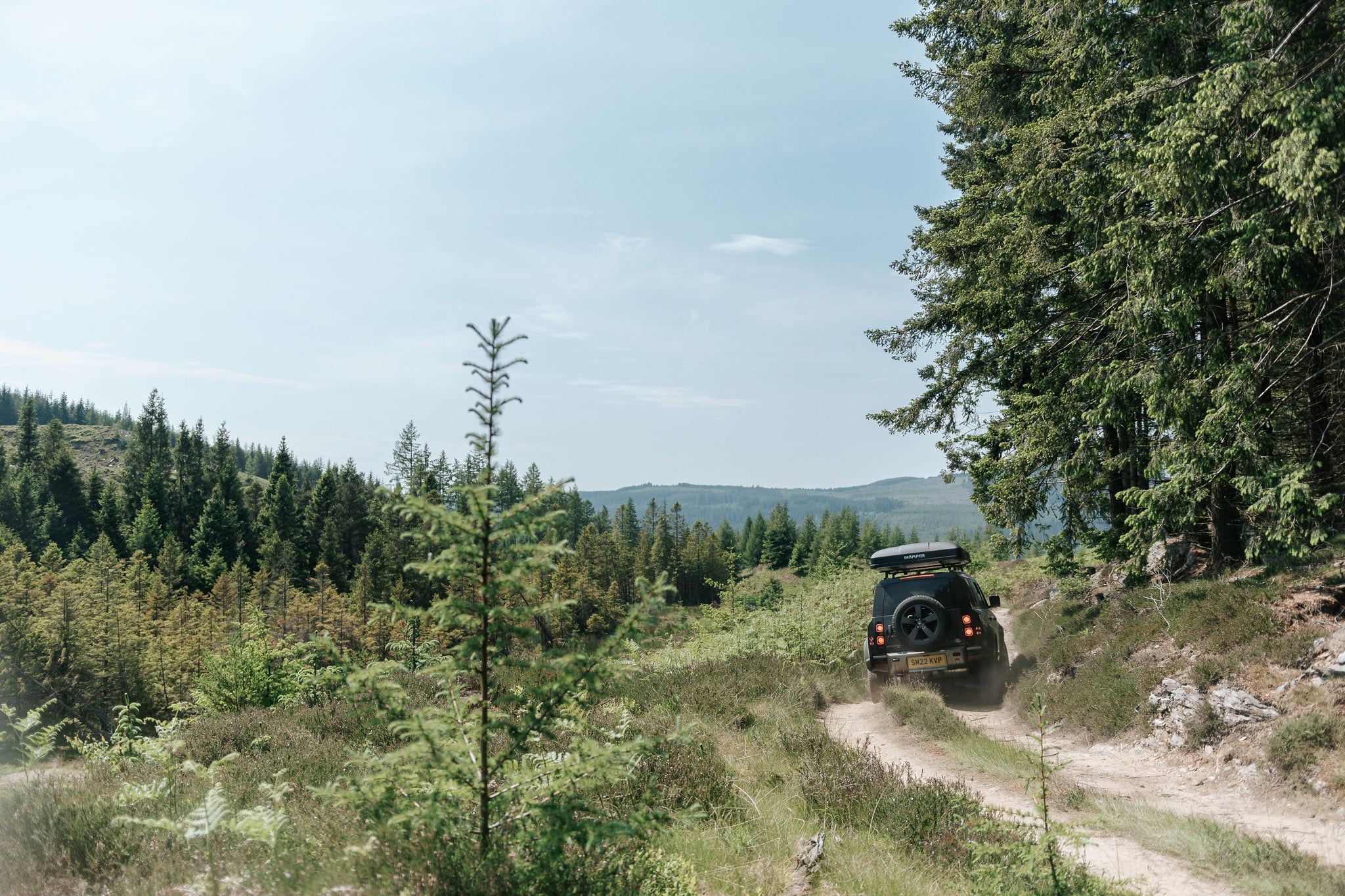 Drives Experience
