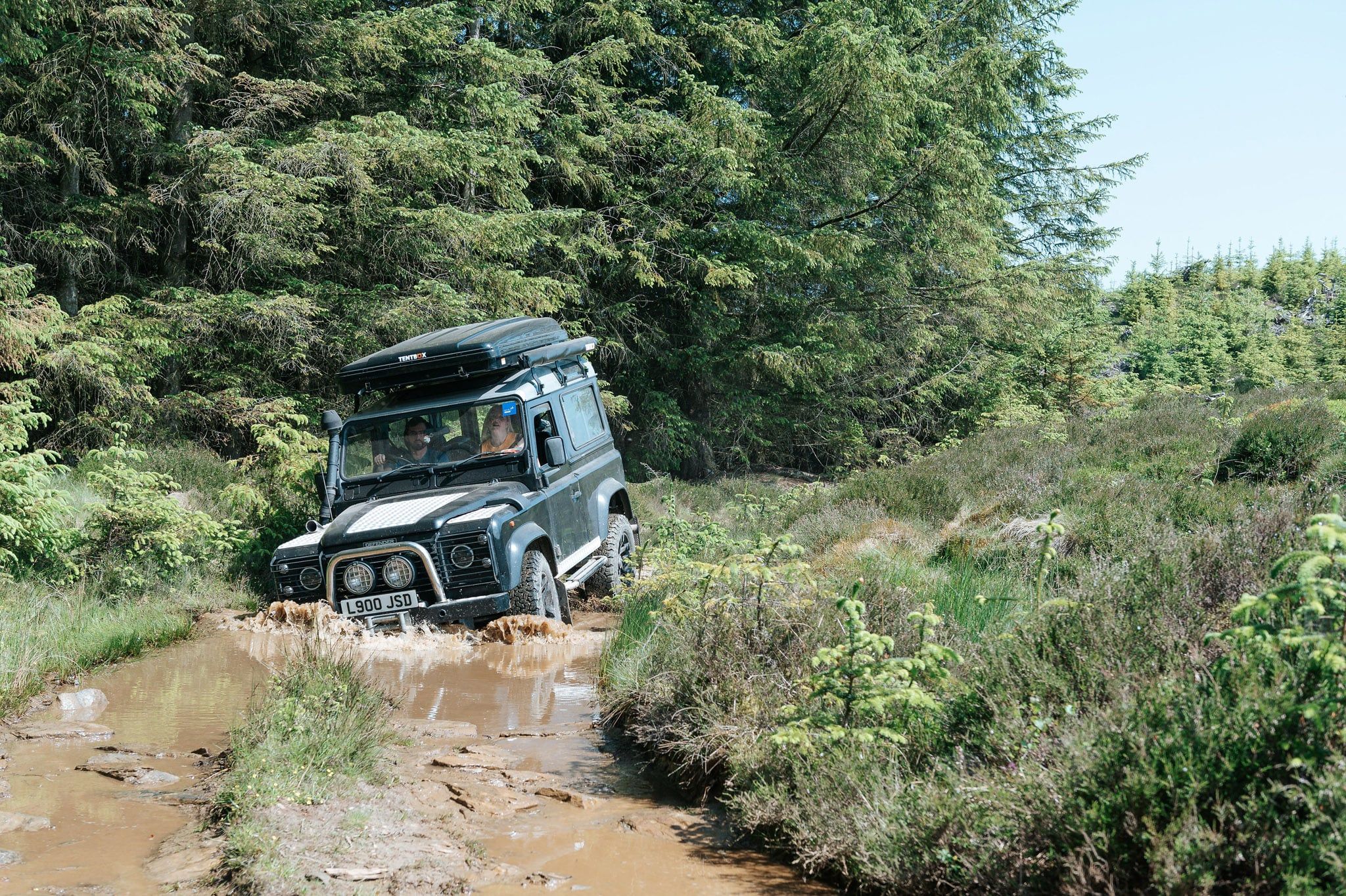 Drives Experience